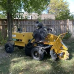 Dudley Stump Grinding