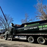 Dudley Tree Removal-05