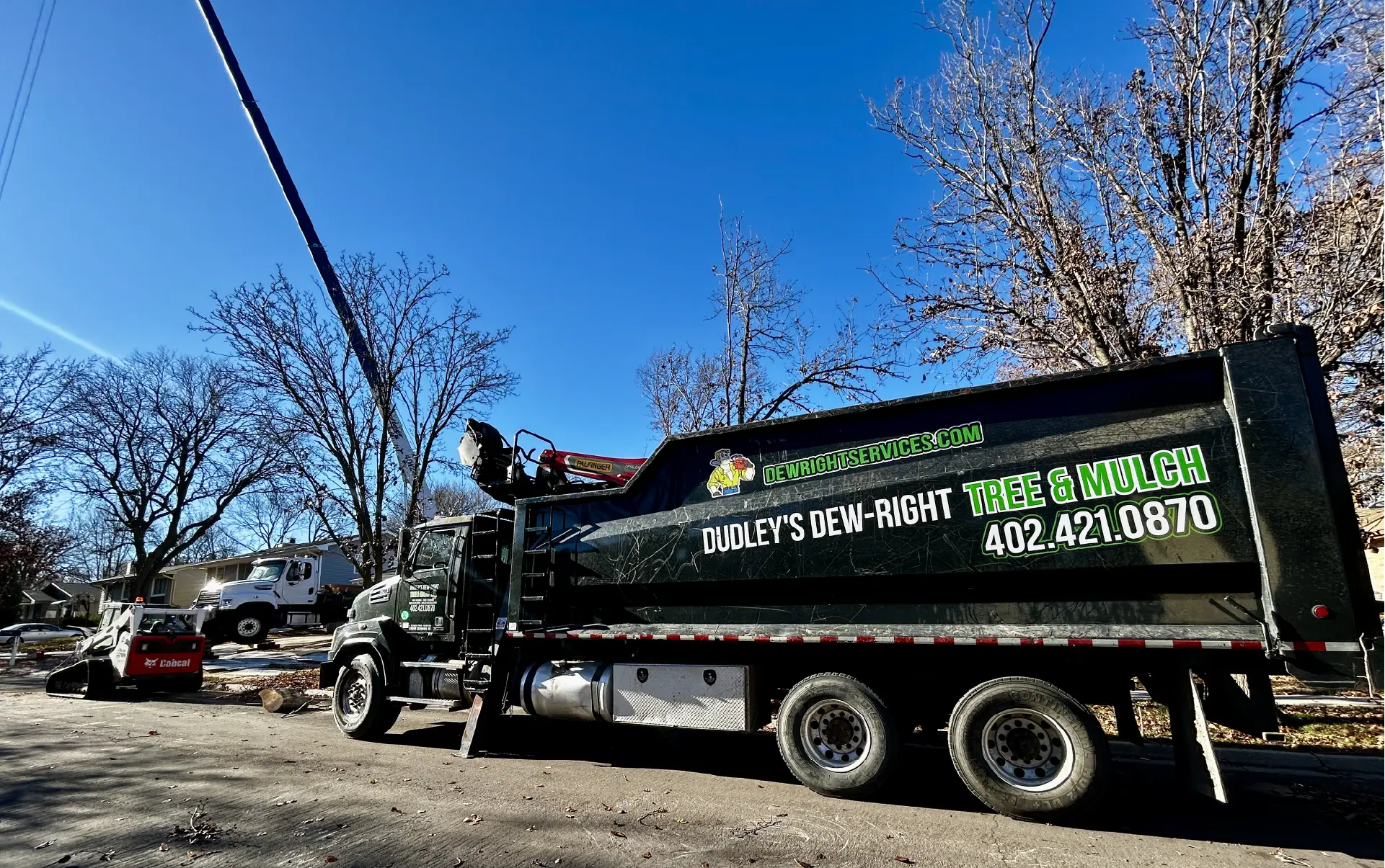 Dudley Tree Removal-05