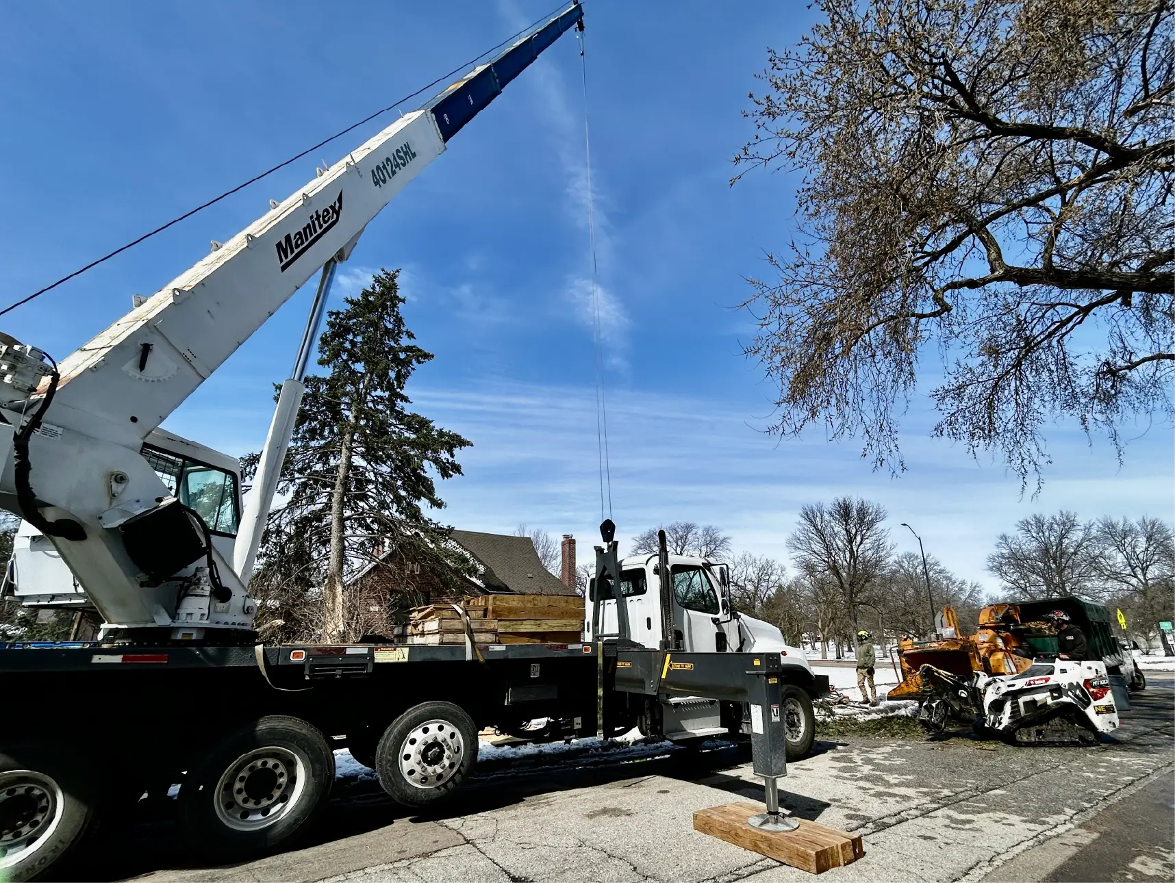 Dudley Tree Removal-07