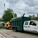 Dudley Tree Removal-08