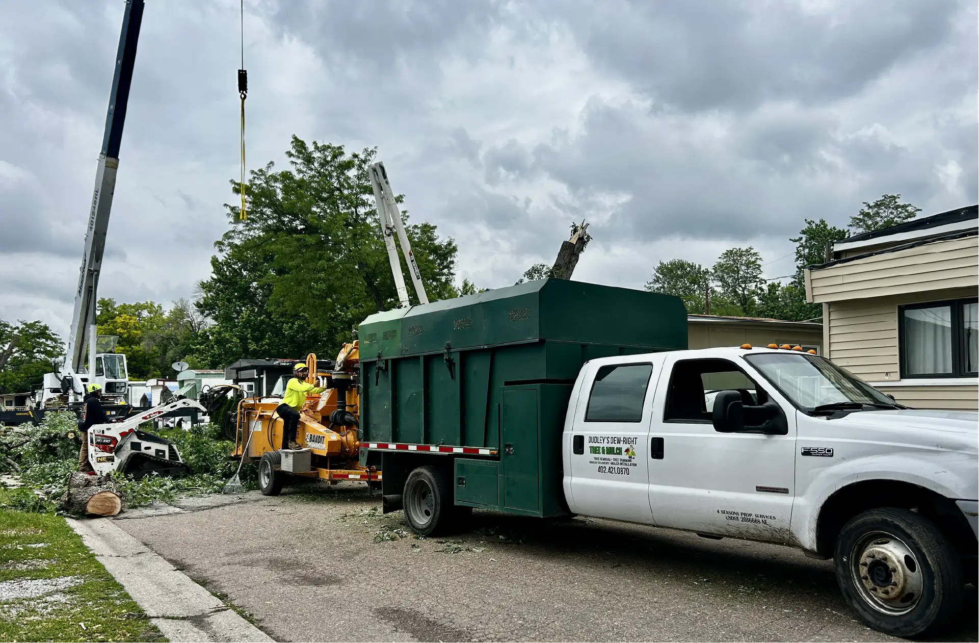 Dudley Tree Removal-08