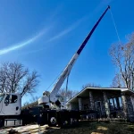 Dudley Tree Removal-09