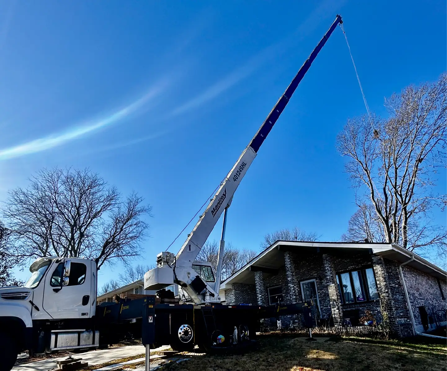 Dudley Tree Removal-09