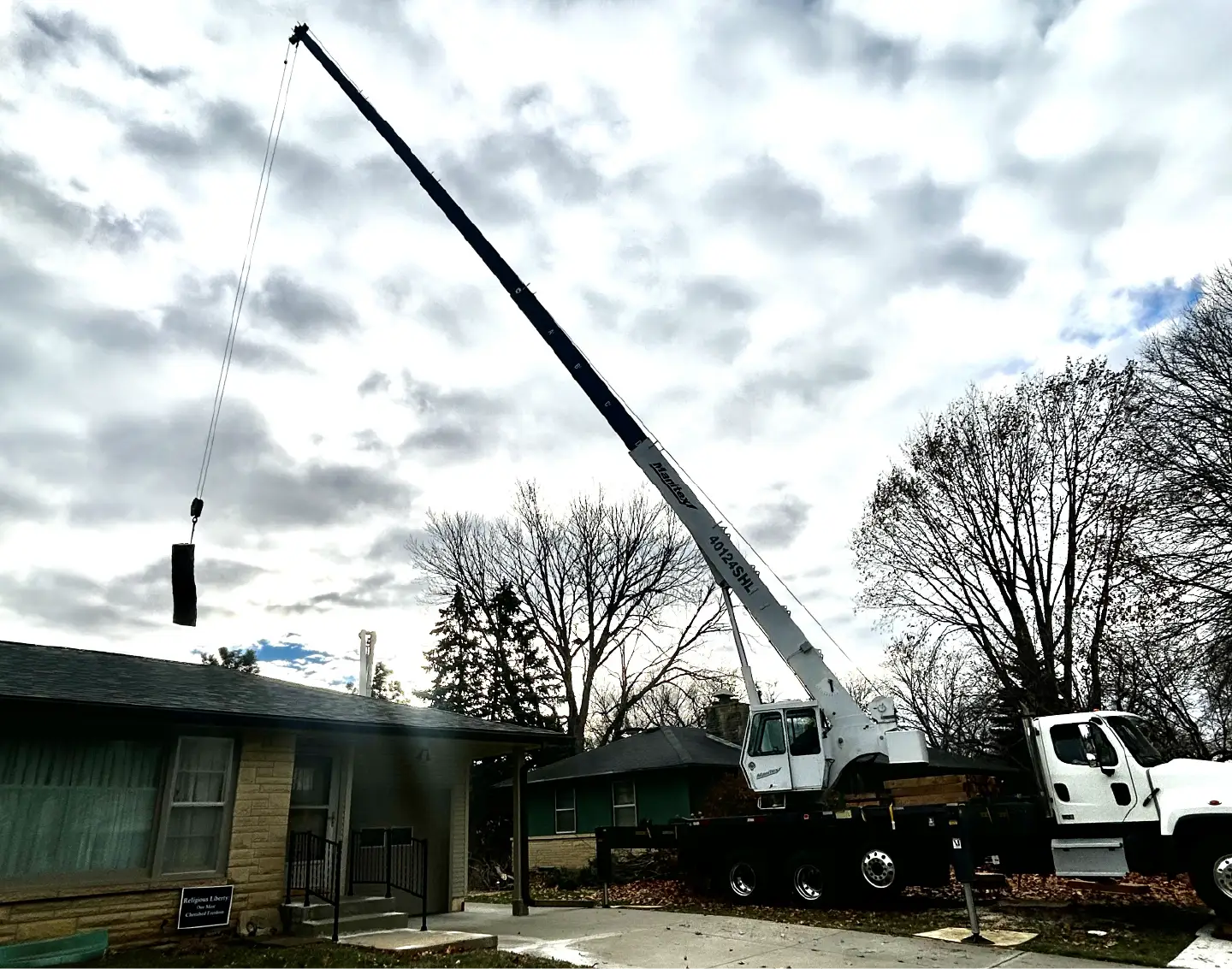 Dudley Tree Removal-10