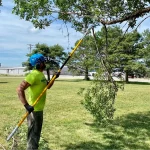 Tree Trimming-01