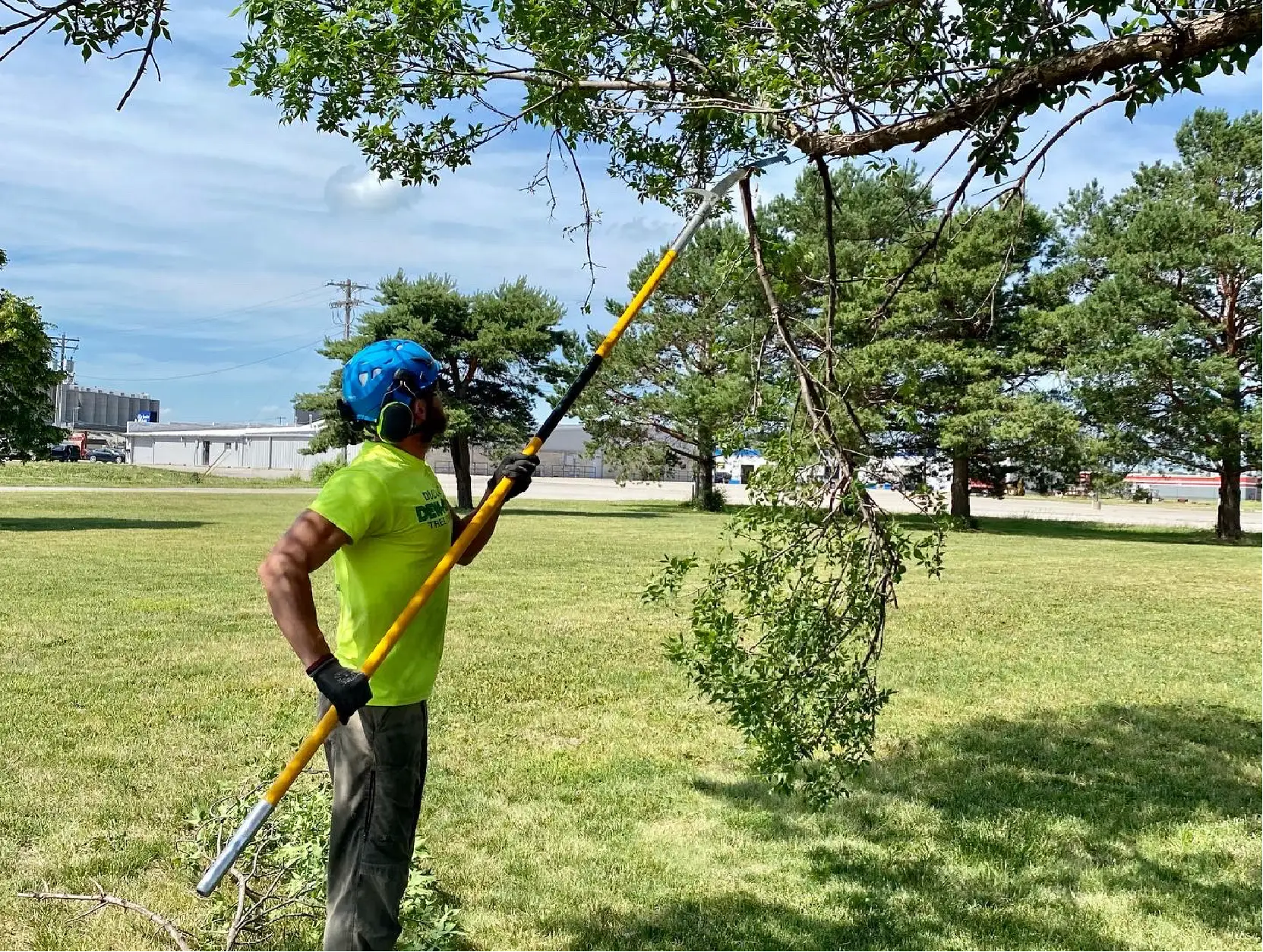 Tree Trimming-01
