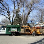 Tree Trimming-02