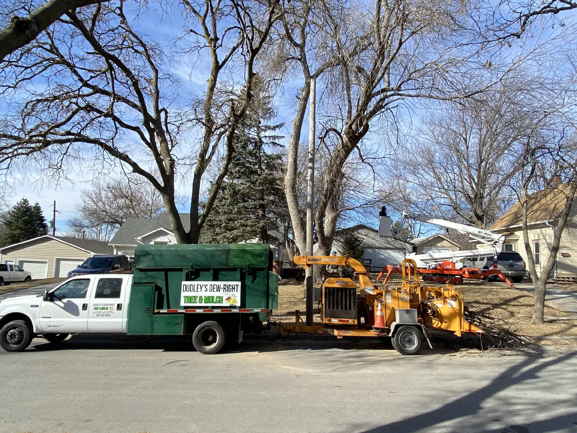 Tree Trimming-02