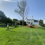 Tree Trimming-03