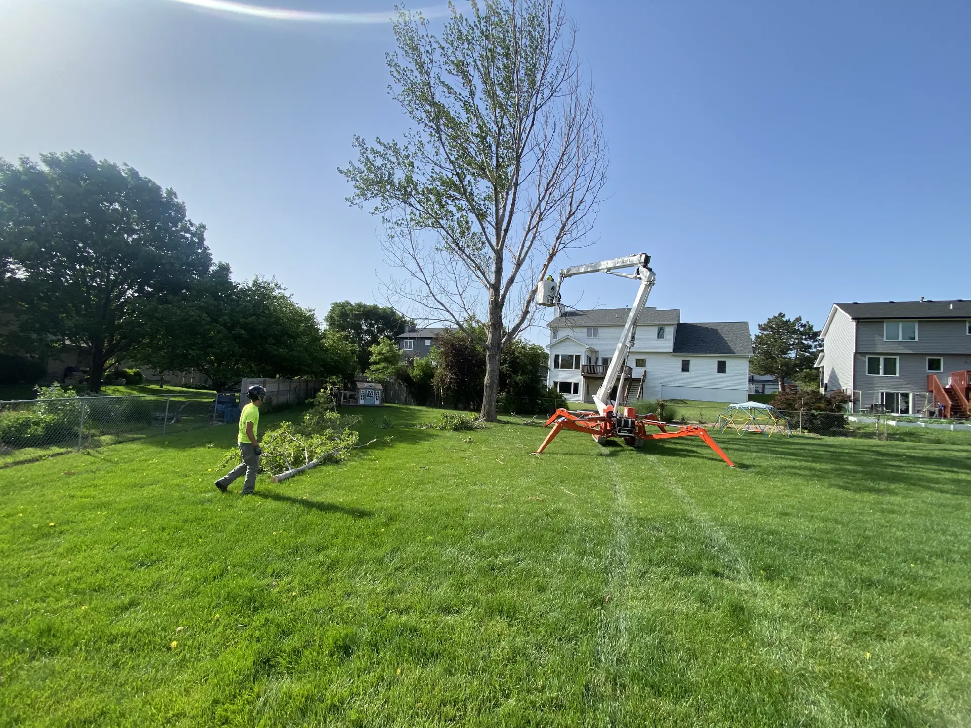 Tree Trimming-03