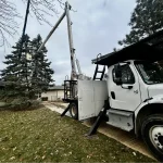 Tree Trimming-04