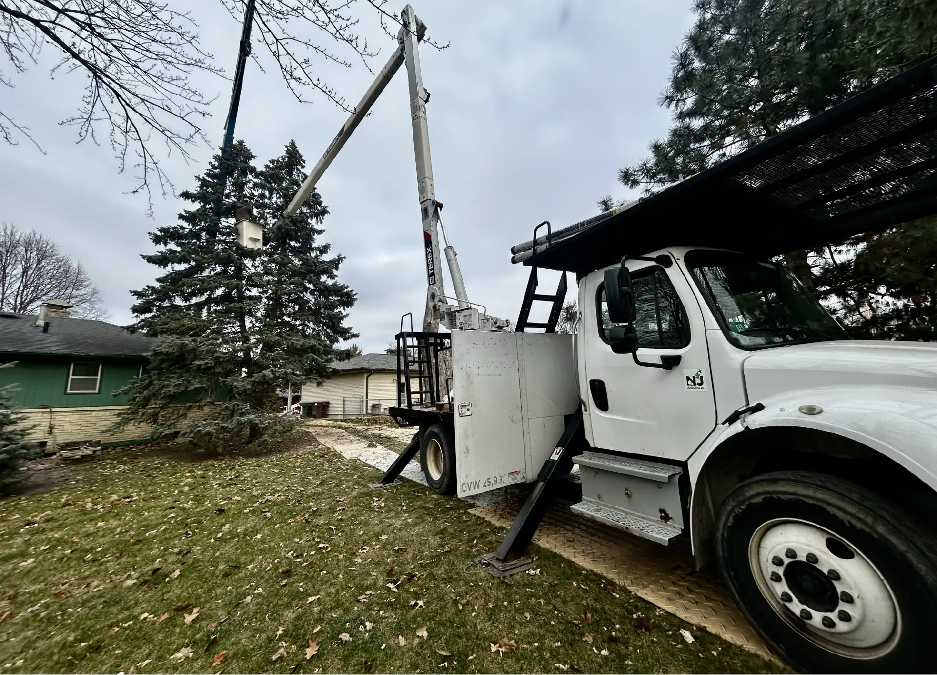 Tree Trimming-04