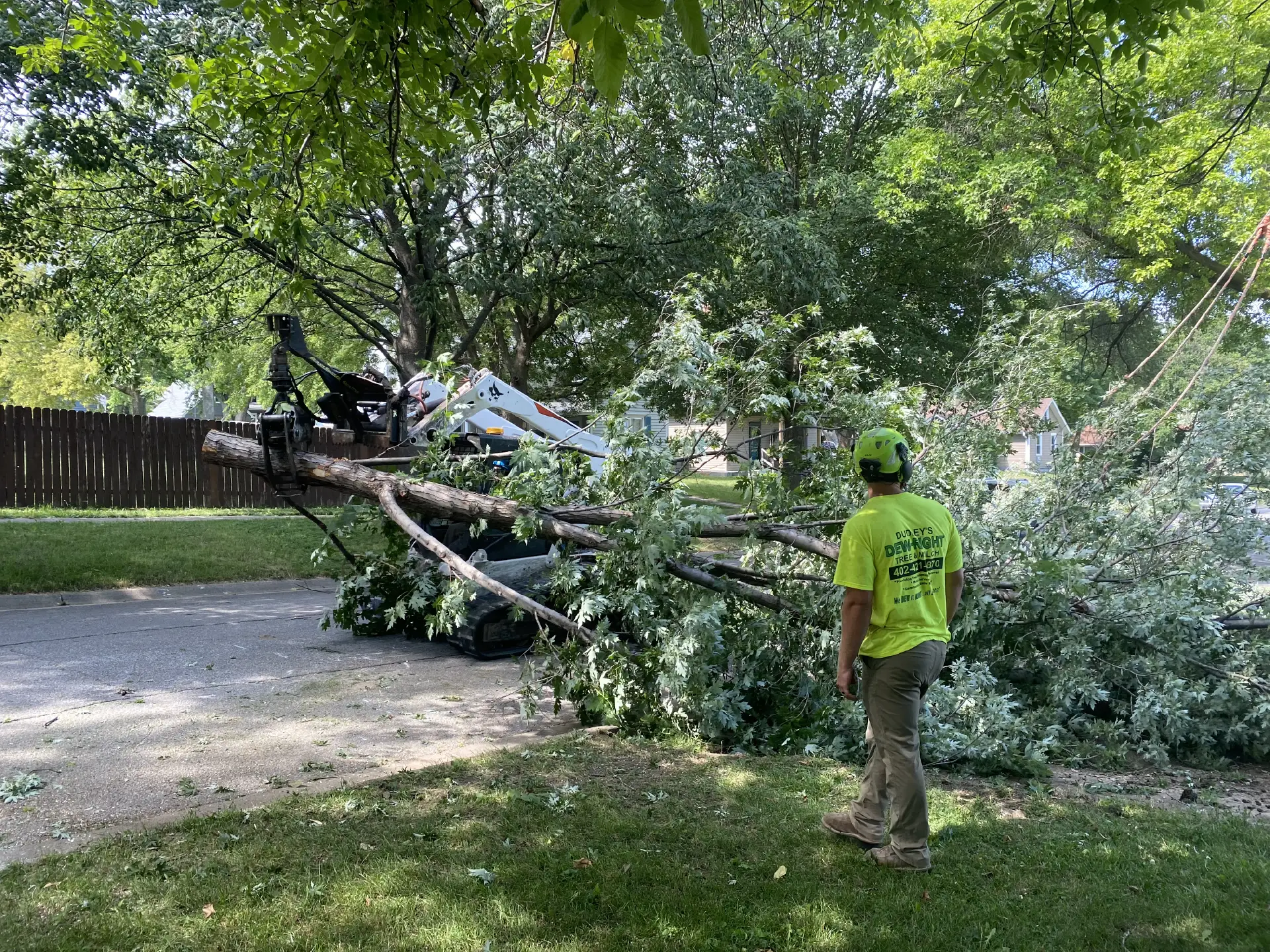 Tree Trimming-05