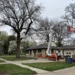 Tree Trimming-06