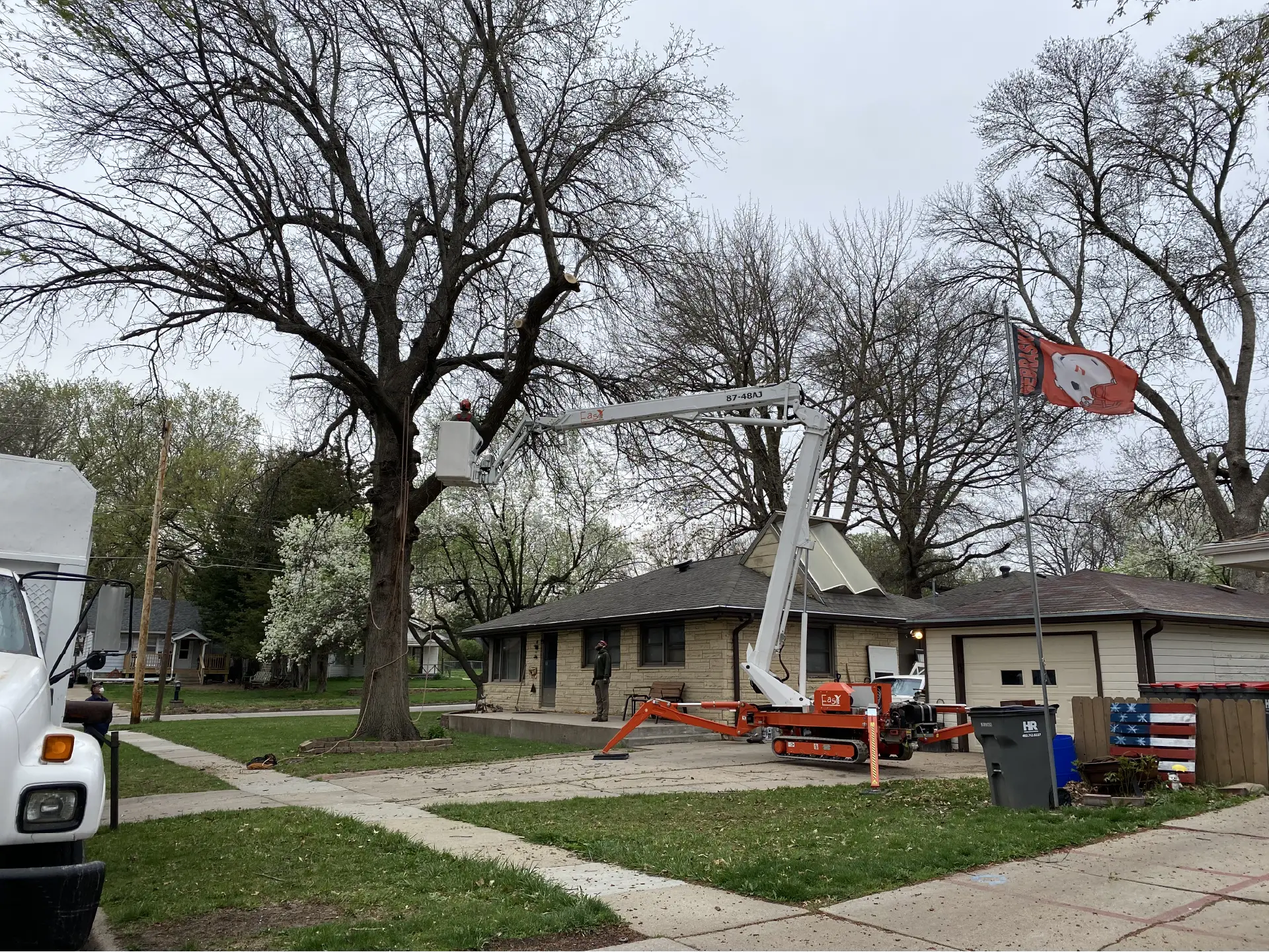 Tree Trimming-06