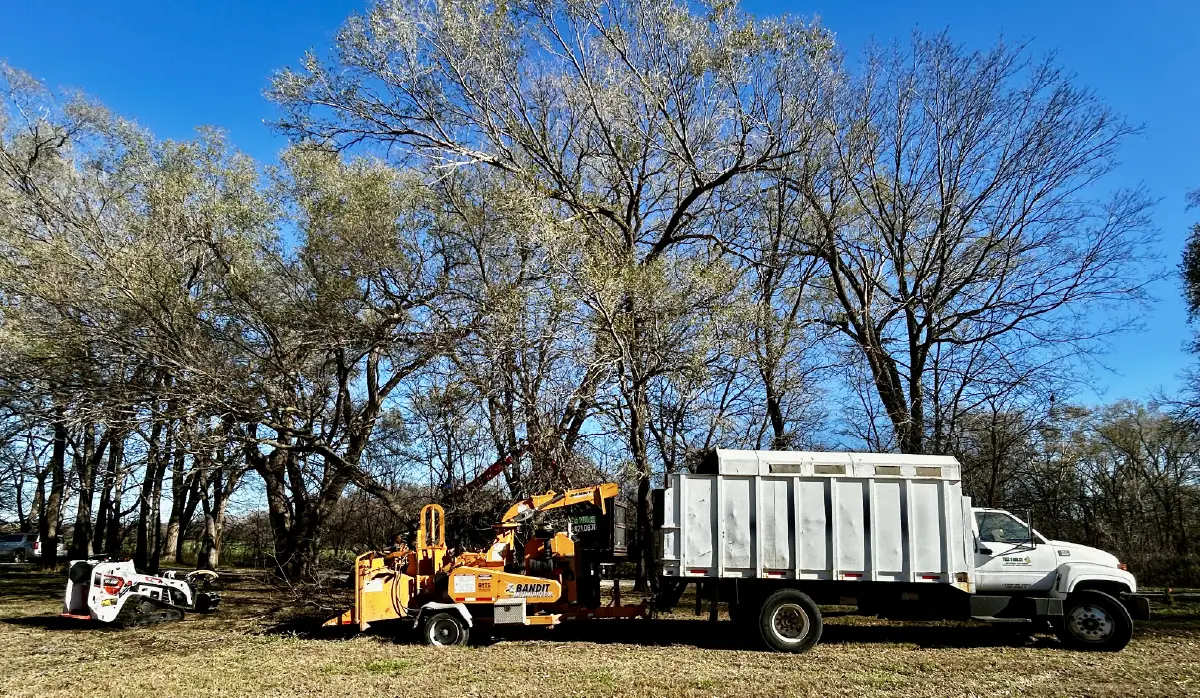 Tree Trimming-07