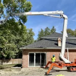 Tree Trimming-08