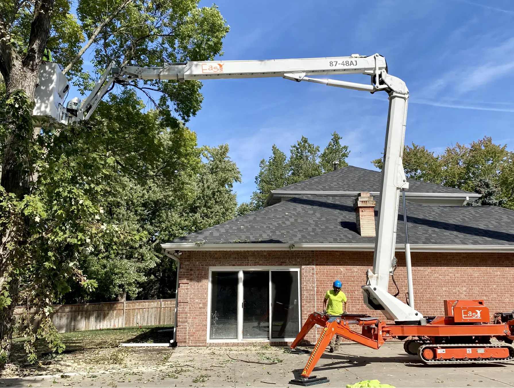 Tree Trimming-08