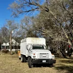 Tree Trimming-09