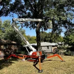 Tree Trimming-10