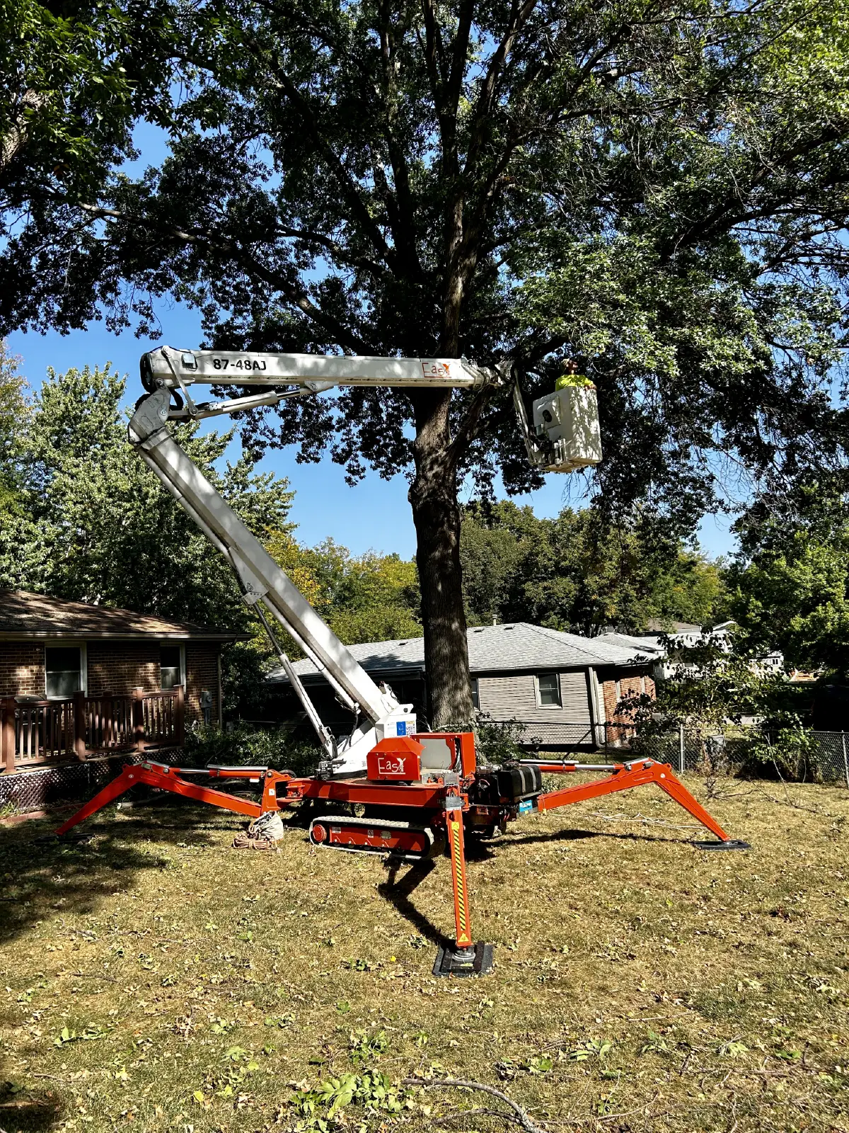 Tree Trimming-10