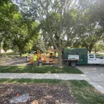 Tree Trimming-11