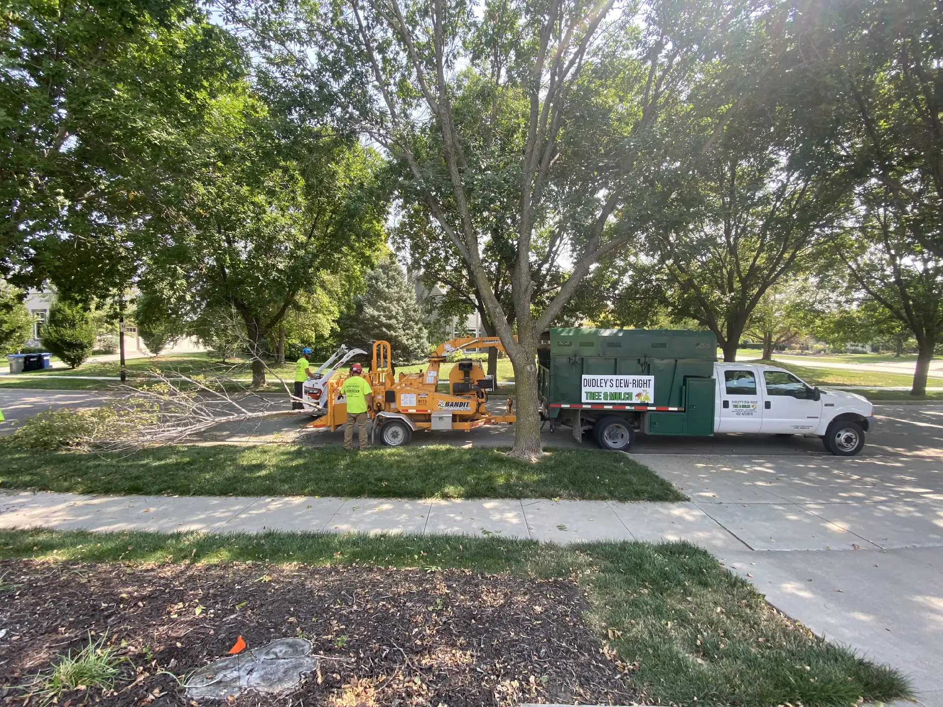 Tree Trimming-11