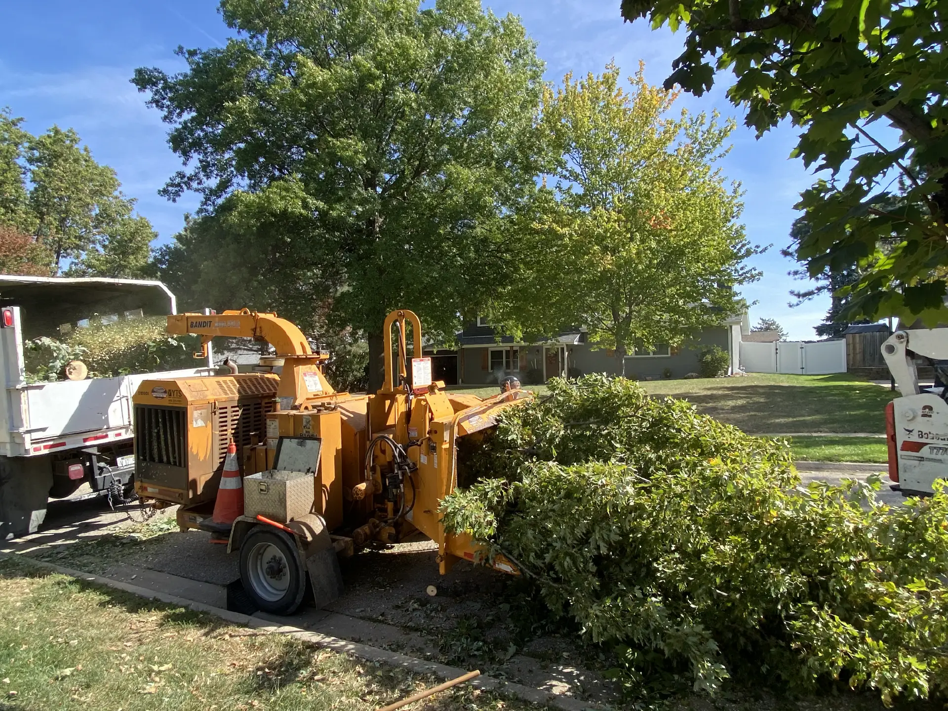 Tree Trimming-12