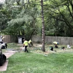 Tree Trimming-14
