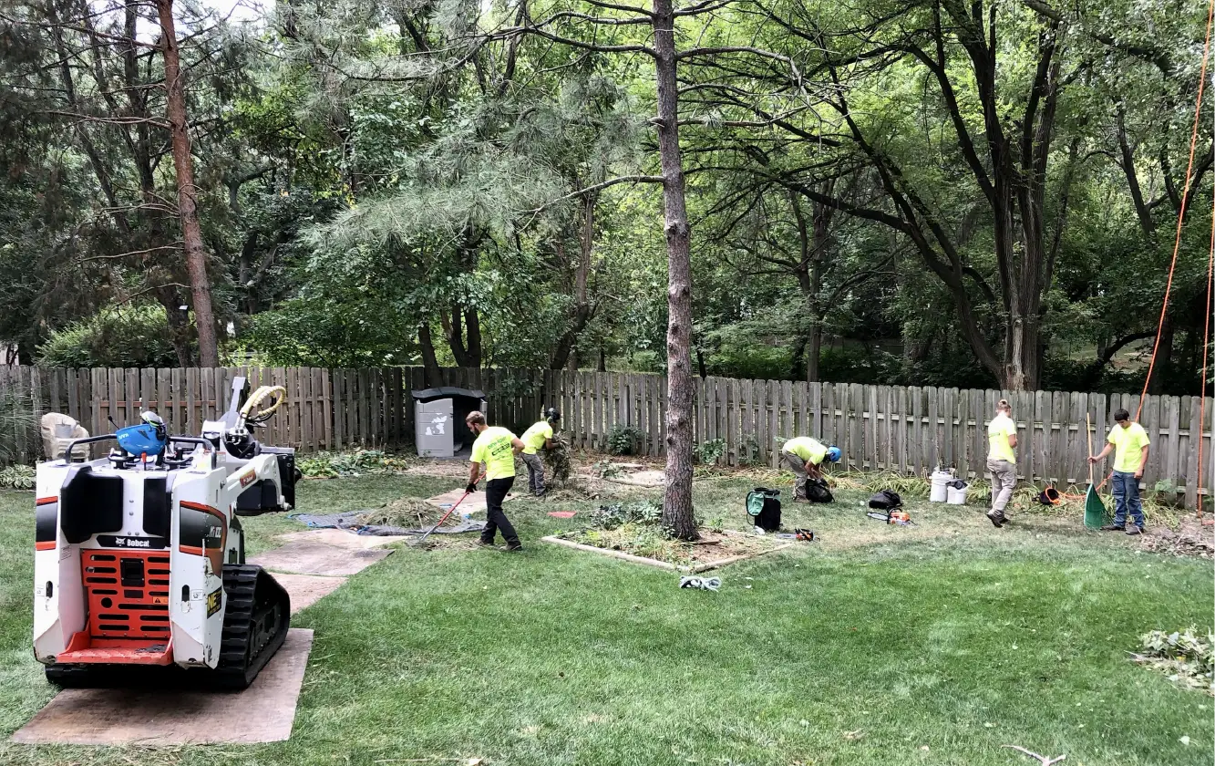 Tree Trimming-14
